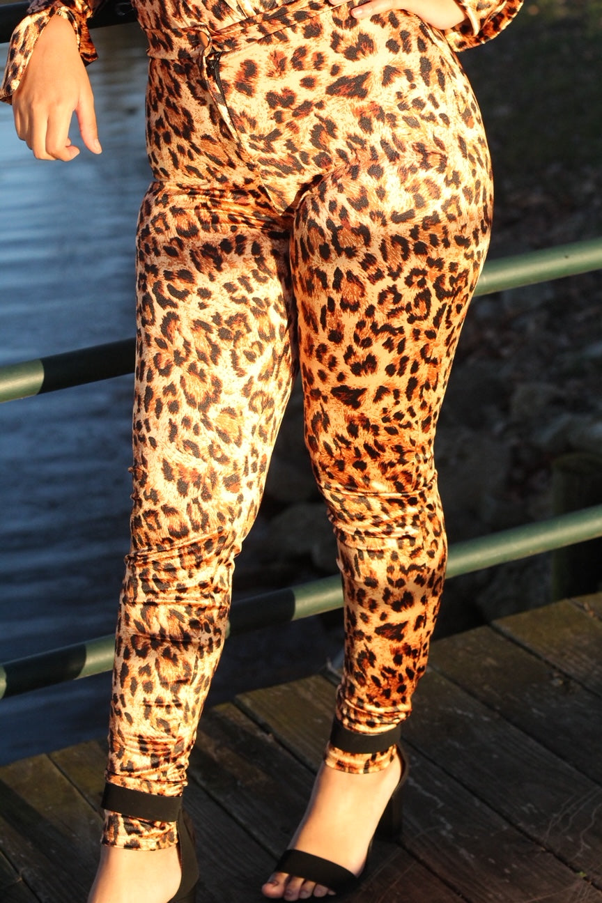 "Wild About You" 2 pc pant set